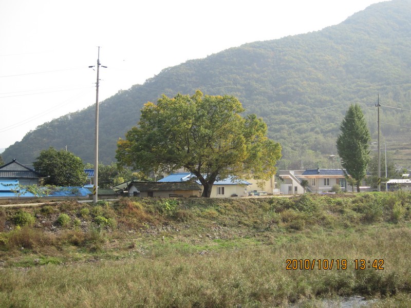 2010101913427.jpg