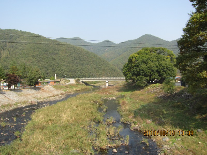2010101913391.jpg