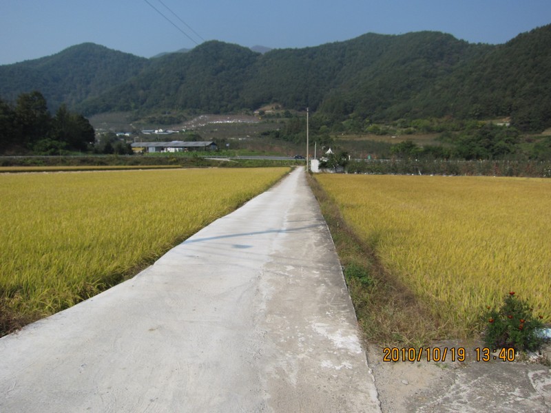 2010101913403.jpg