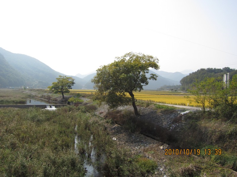 2010101913393.jpg