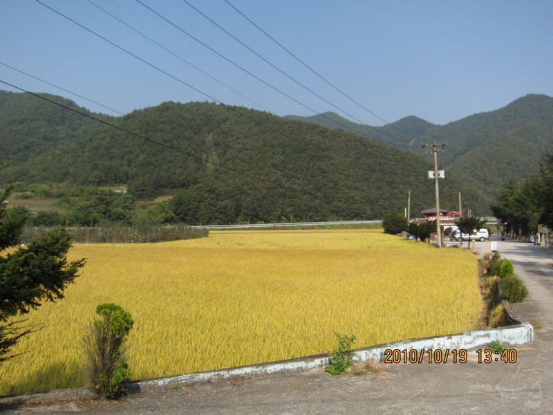 2010101913402.jpg