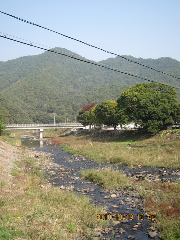 2010101913424.jpg