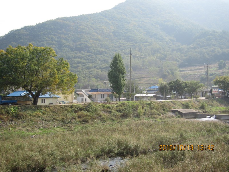 2010101913426.jpg