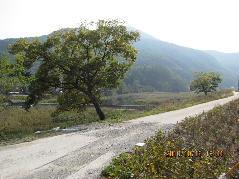 2010101913414.jpg