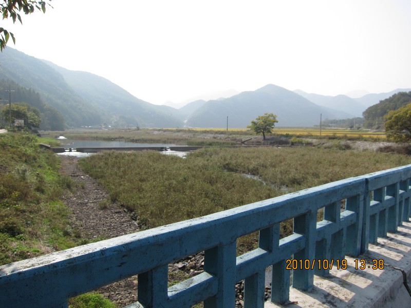 2010101913371.jpg