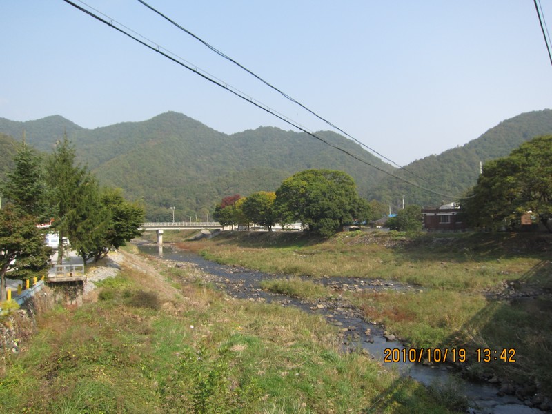 2010101913421.jpg