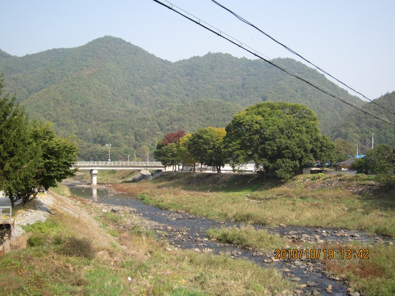 2010101913422.jpg