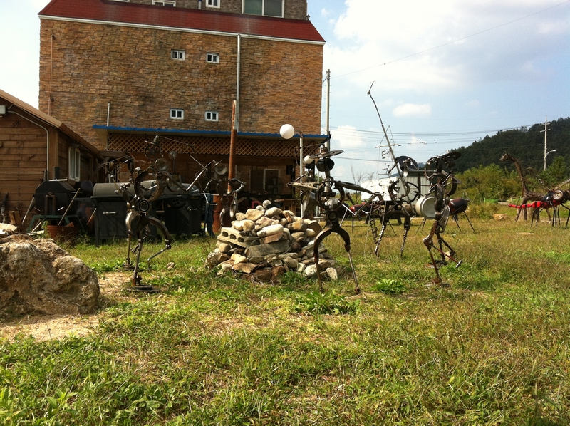 IMG_2417.jpg
