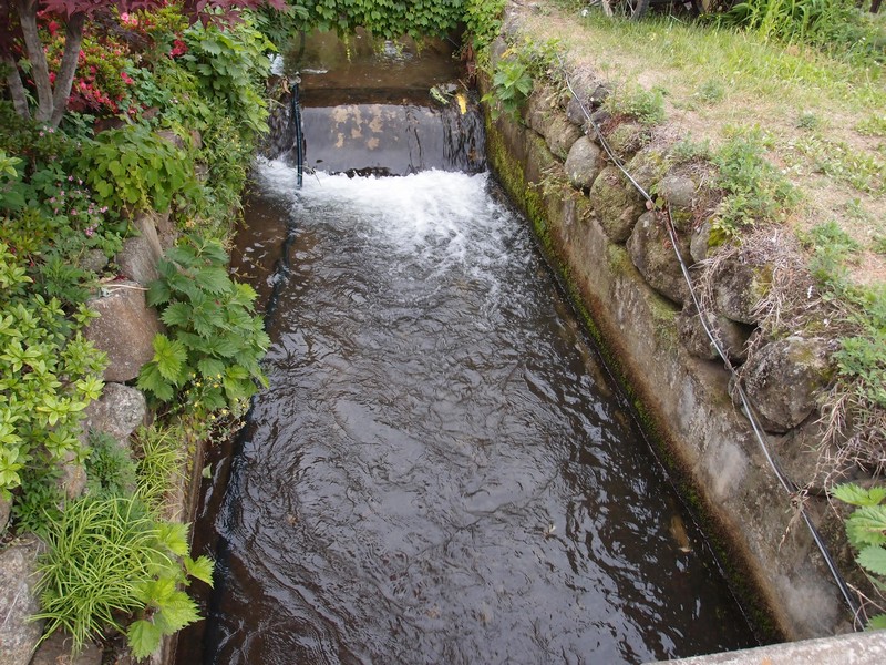 2012-05-30-047.JPG
