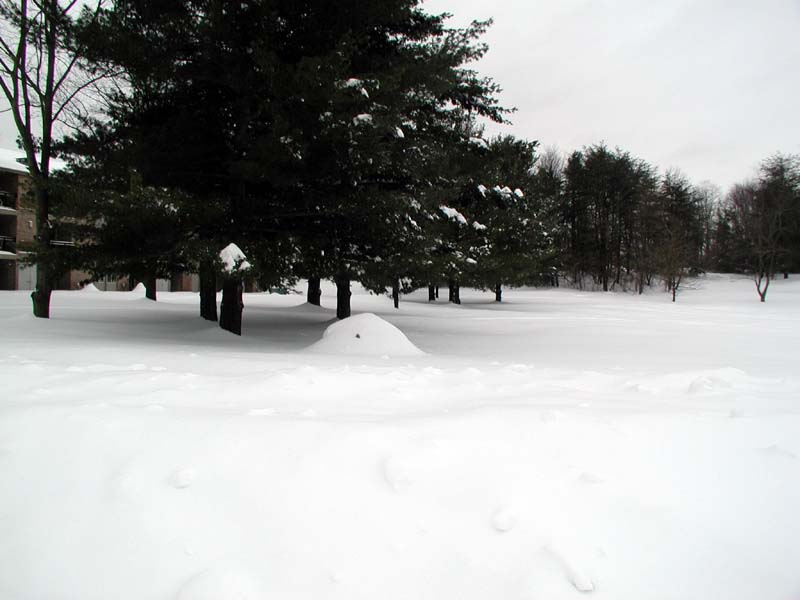 030217_18.jpg