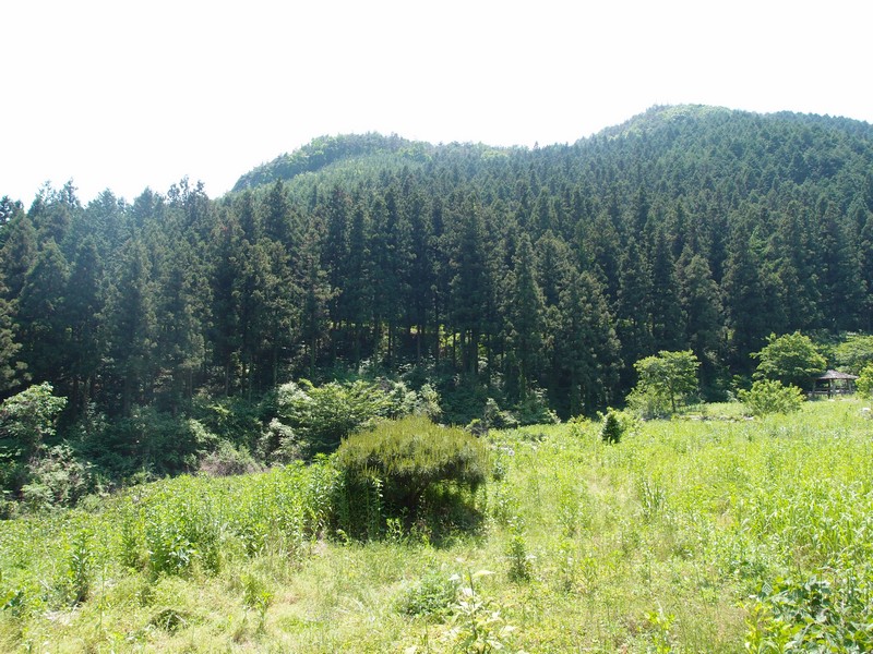 2011-05-29-063.jpg