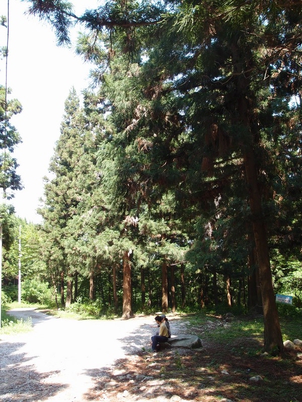 2011-05-29-076.jpg