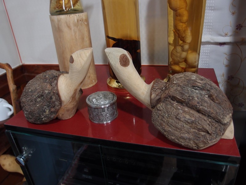 2011-05-28-017.jpg