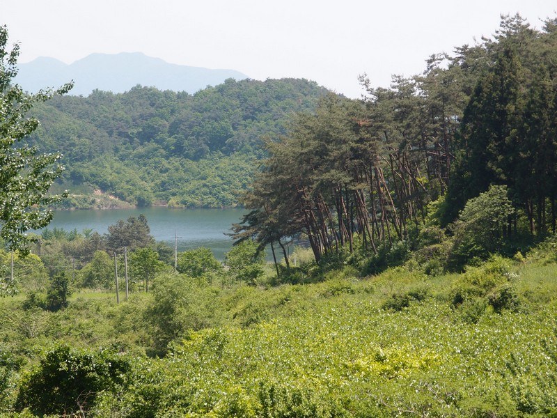 2011-05-29-065.jpg