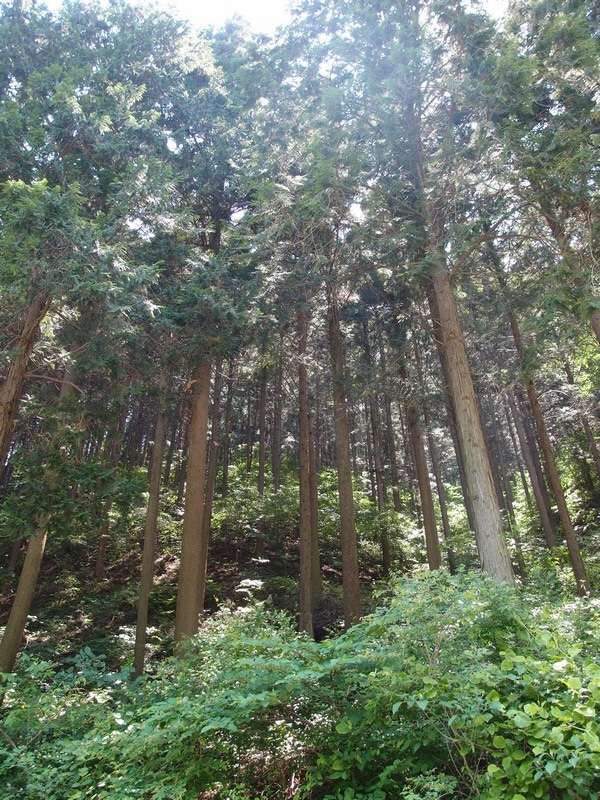 2011-05-29-066.jpg