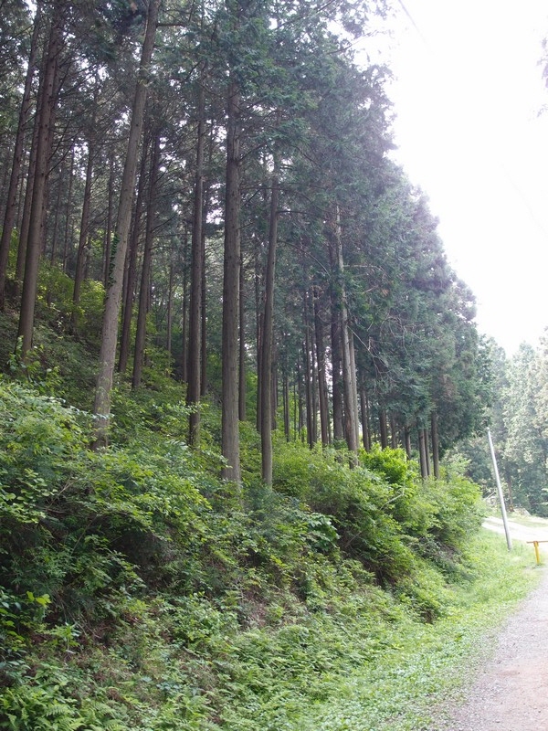 2011-05-28-012.jpg