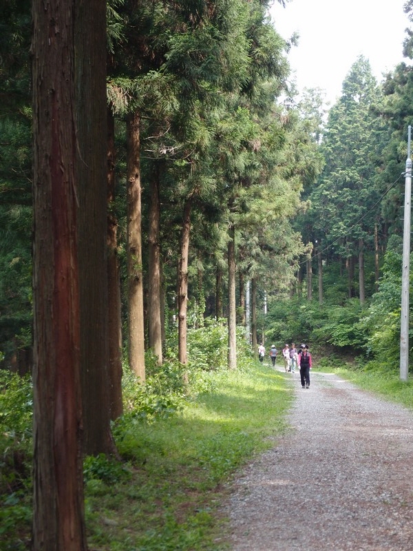 2011-05-28-005.jpg