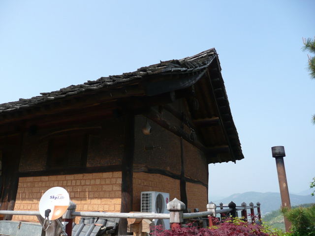 P1000621.JPG