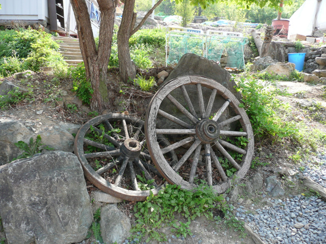 P1000628.JPG