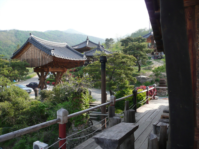 P1000645.JPG
