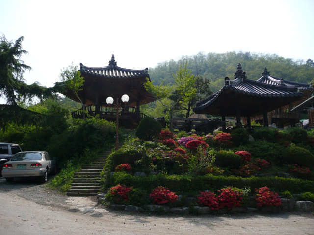 P1000617.JPG
