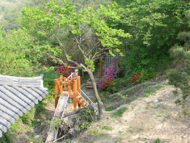 P1000647.JPG