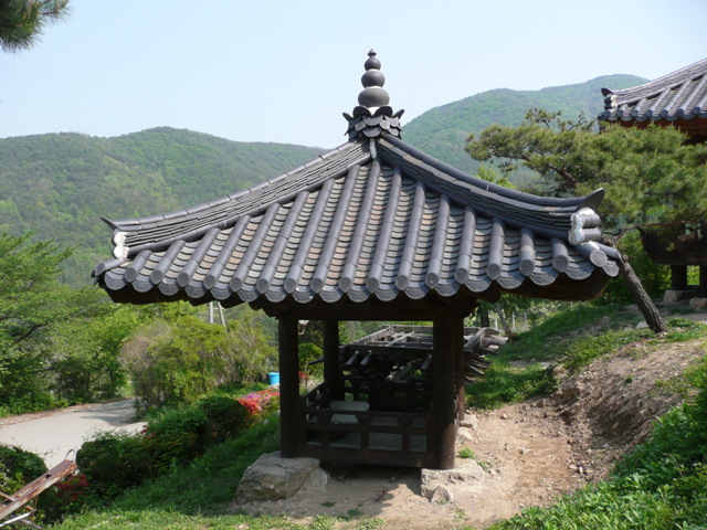 P1000632.JPG