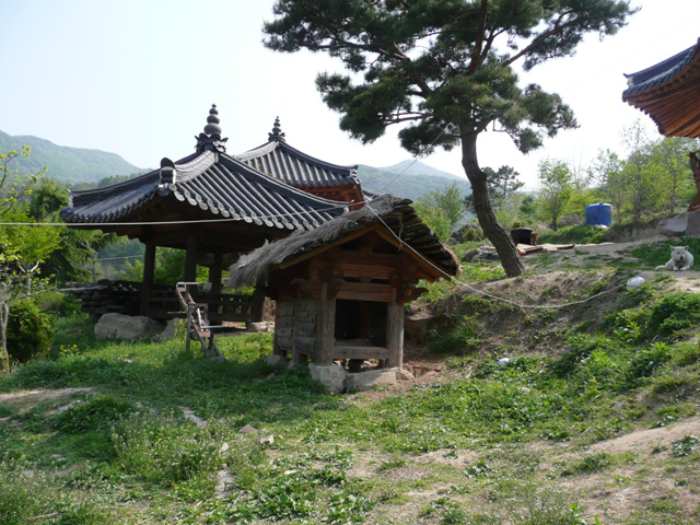 P1000629.JPG