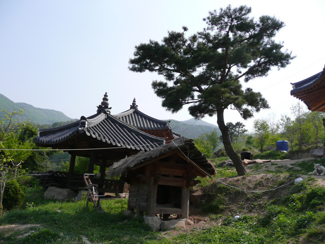 P1000630.JPG