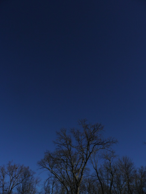 P1000340.jpg