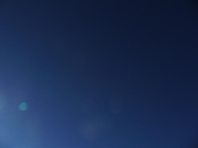 P1000335.jpg