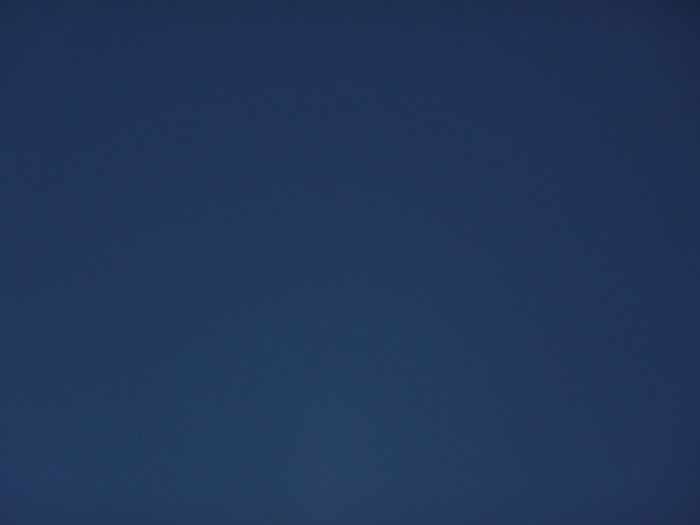 P1000332.jpg