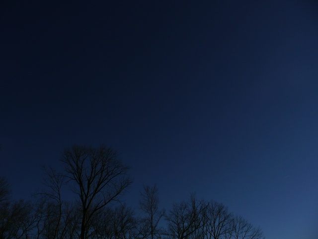 P1000337.jpg