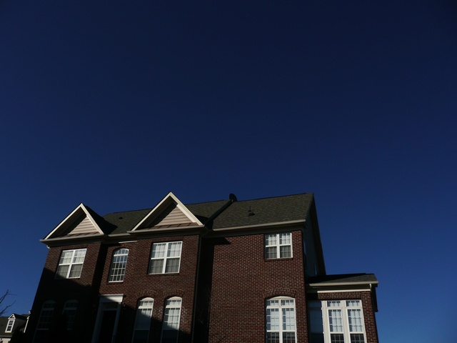 P1000344.jpg
