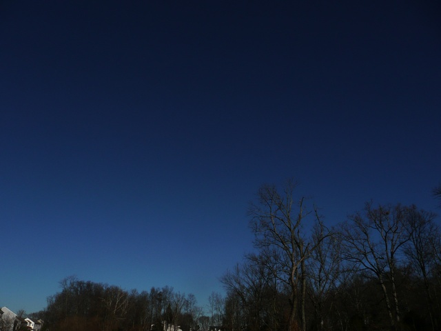 P1000341.jpg