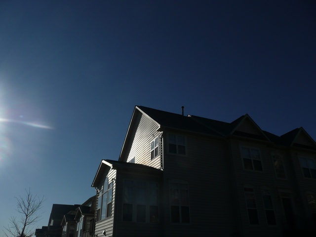 P1000333.jpg