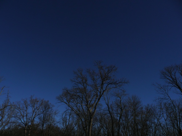 P1000338.jpg