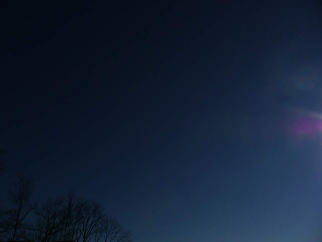 P1000336.jpg
