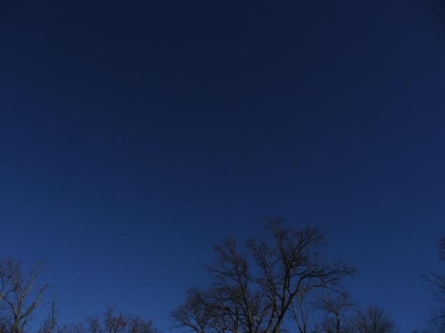 P1000339.jpg