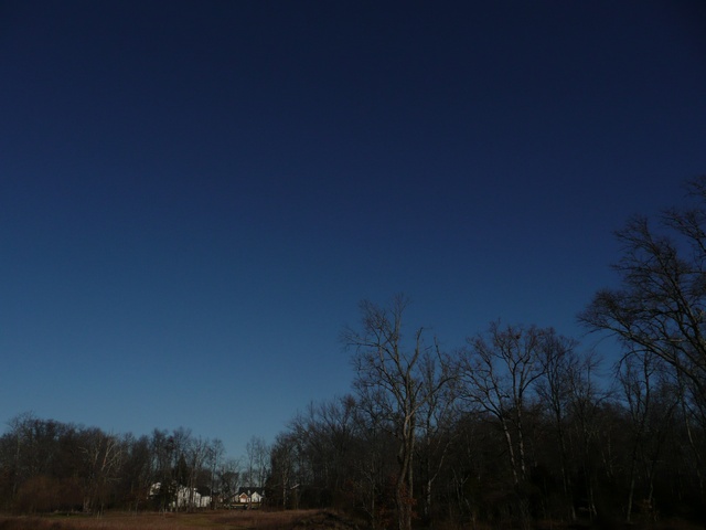 P1000329.jpg