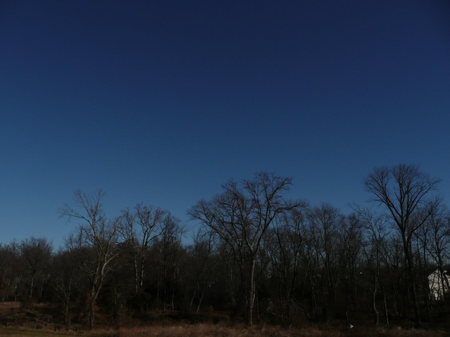 P1000327.jpg