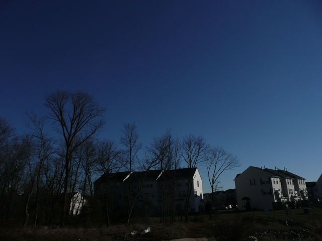 P1000328.jpg