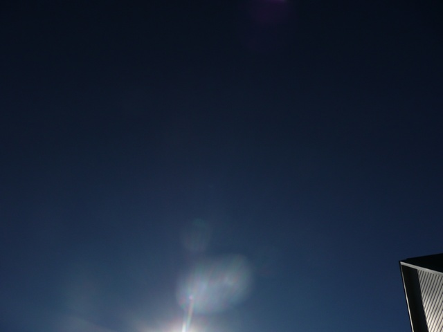 P1000331.jpg