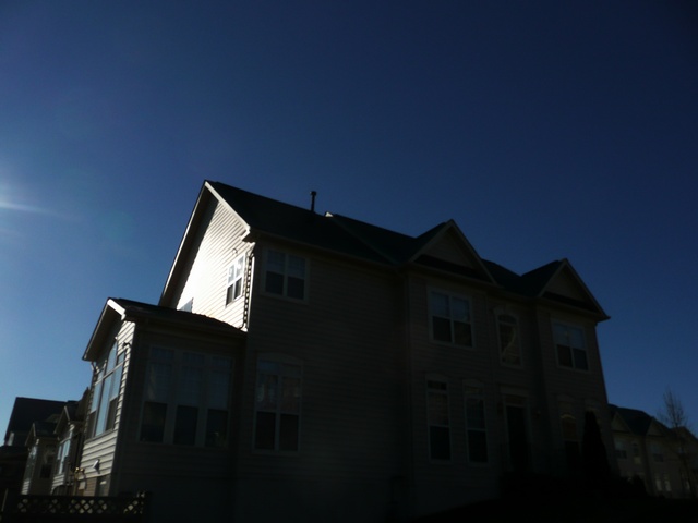 P1000345.jpg