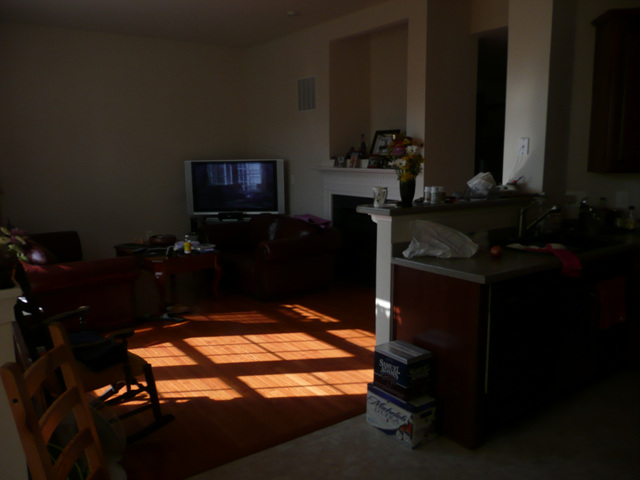 P1000566.jpg