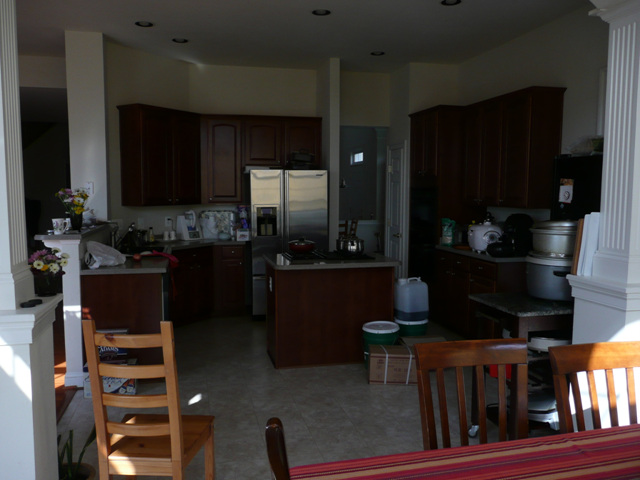 P1000567.jpg