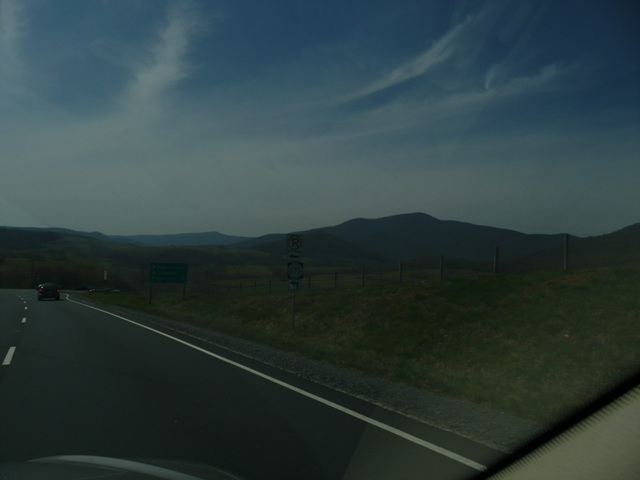 P1000506.jpg