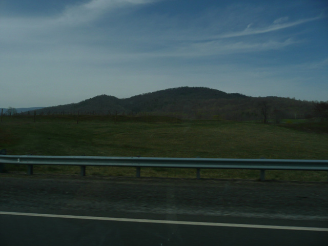 P1000510.jpg
