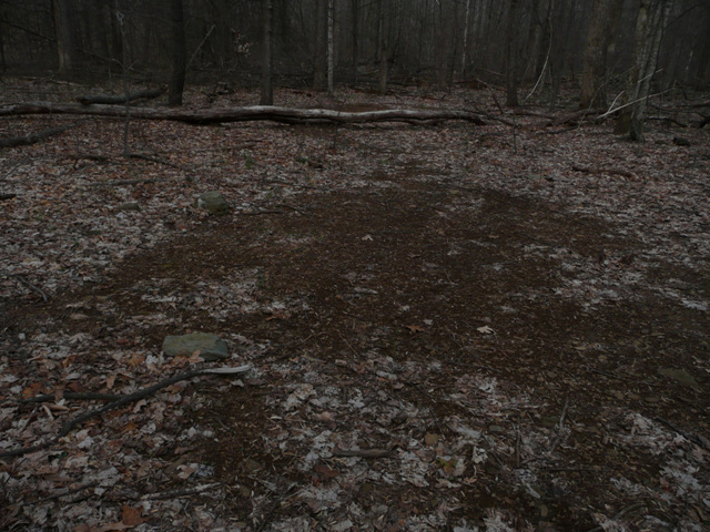 P1000515.jpg