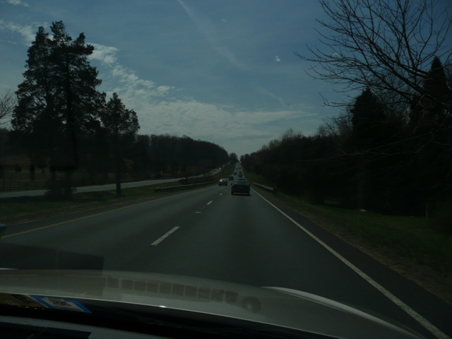 P1000504.jpg